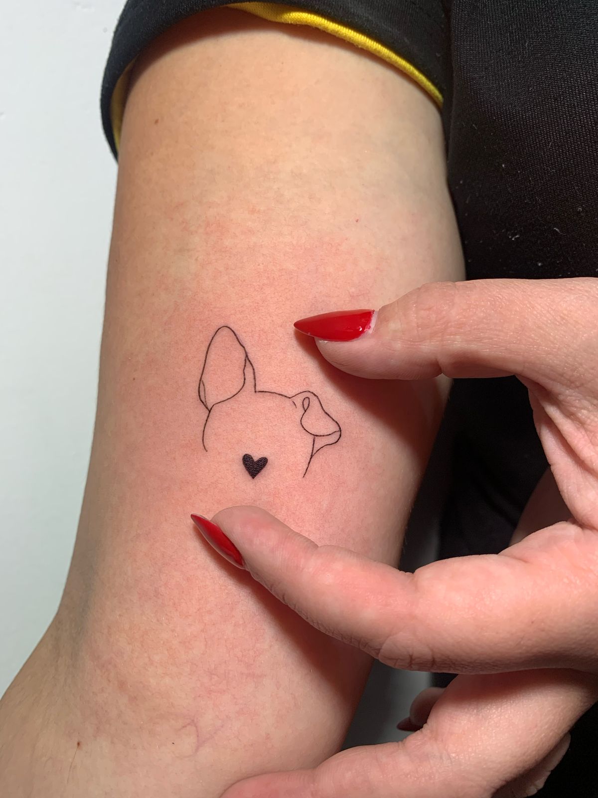 Imagem do WhatsApp de 2025-05-17 à(s) 17.24.55_3fceda03