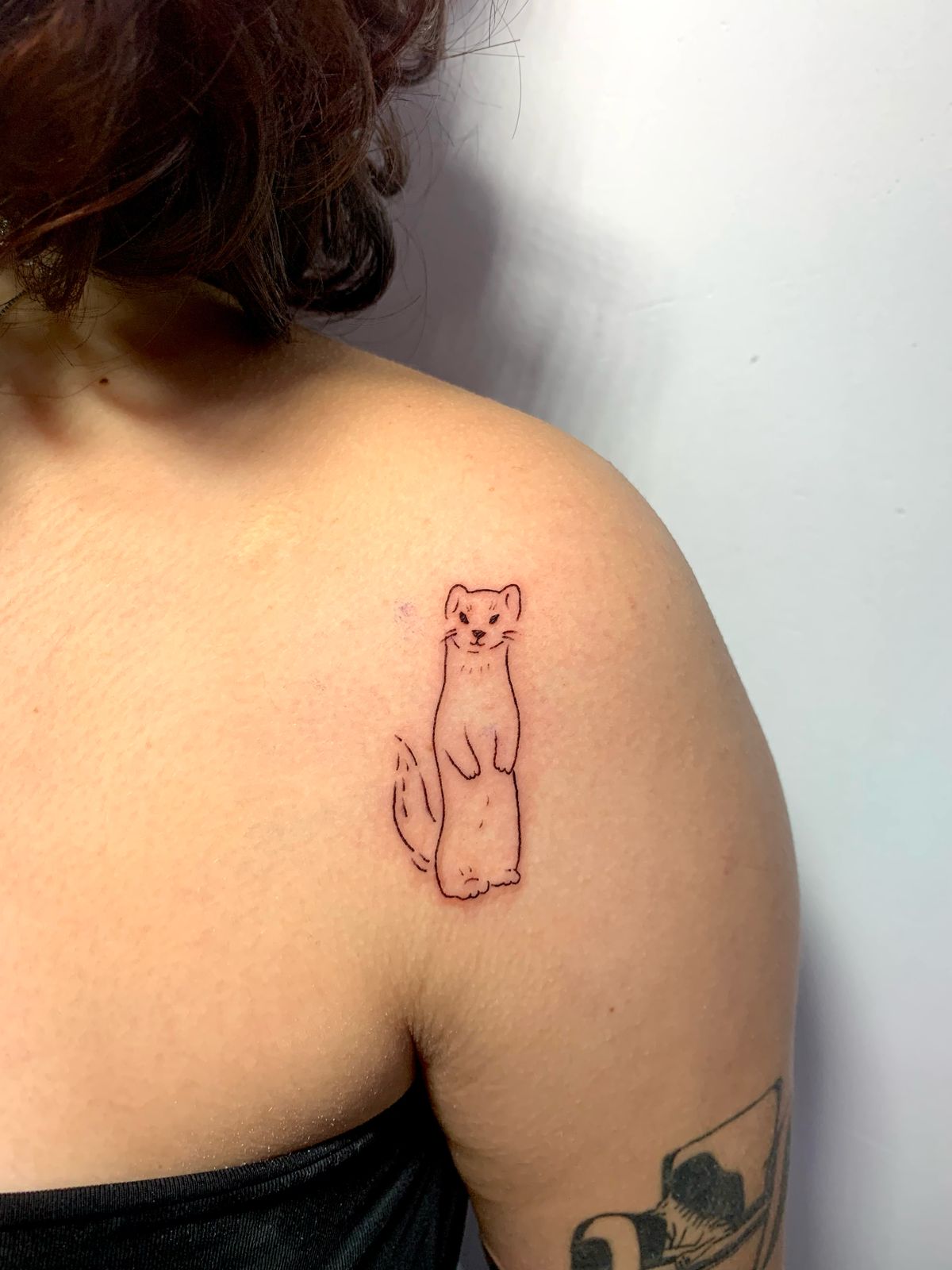 Imagem do WhatsApp de 2025-05-17 à(s) 17.24.59_74a833ce