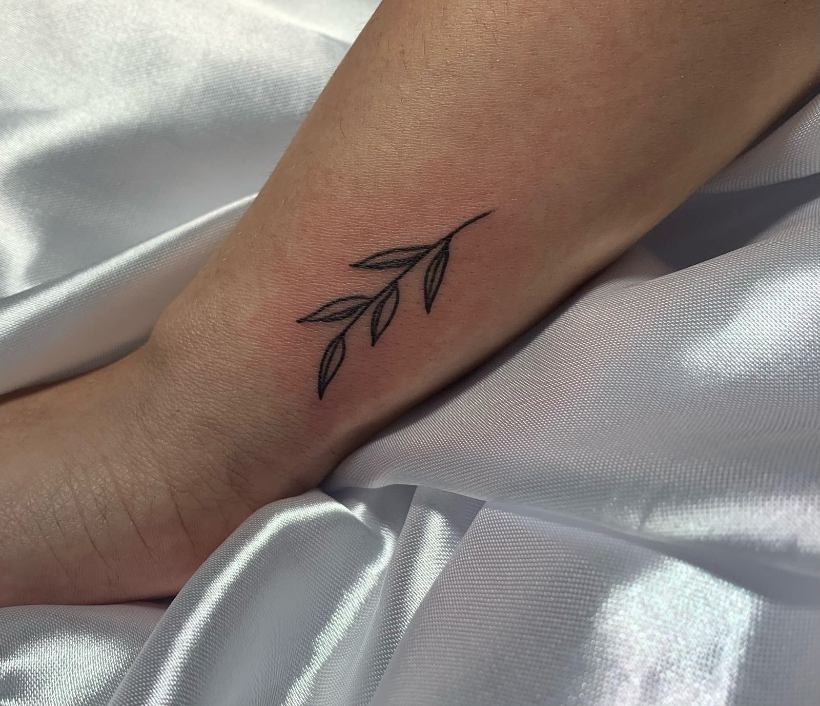 Imagem do WhatsApp de 2025-05-17 à(s) 17.25.57_6815c4b3