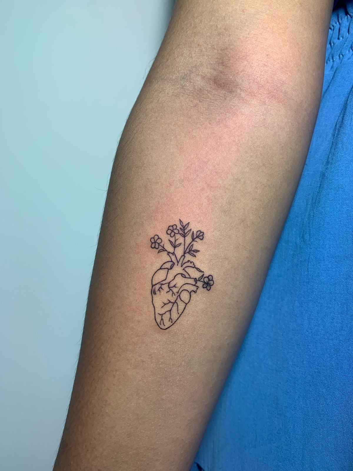 Imagem do WhatsApp de 2025-05-17 à(s) 17.25.58_bafa9174