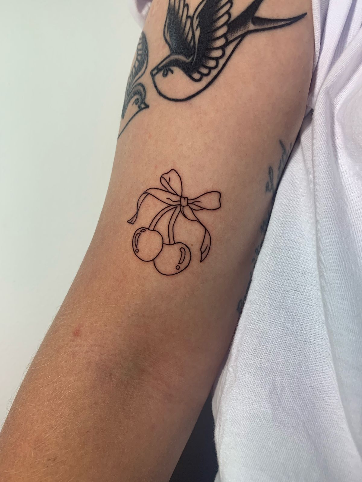 Imagem do WhatsApp de 2025-05-17 à(s) 17.26.42_a6d40c93